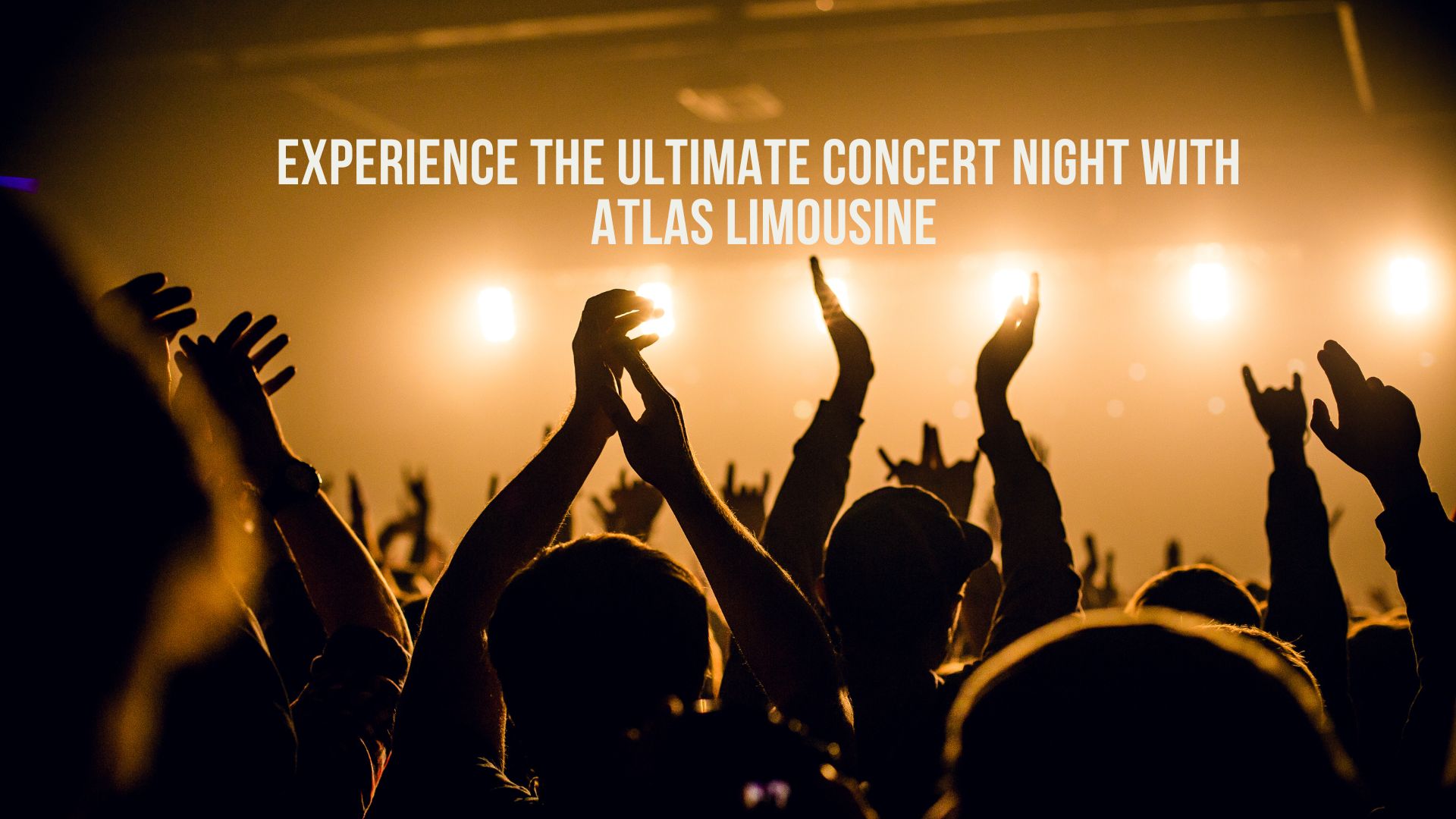 Experience the Ultimate Concert Night with Atlas Limousine