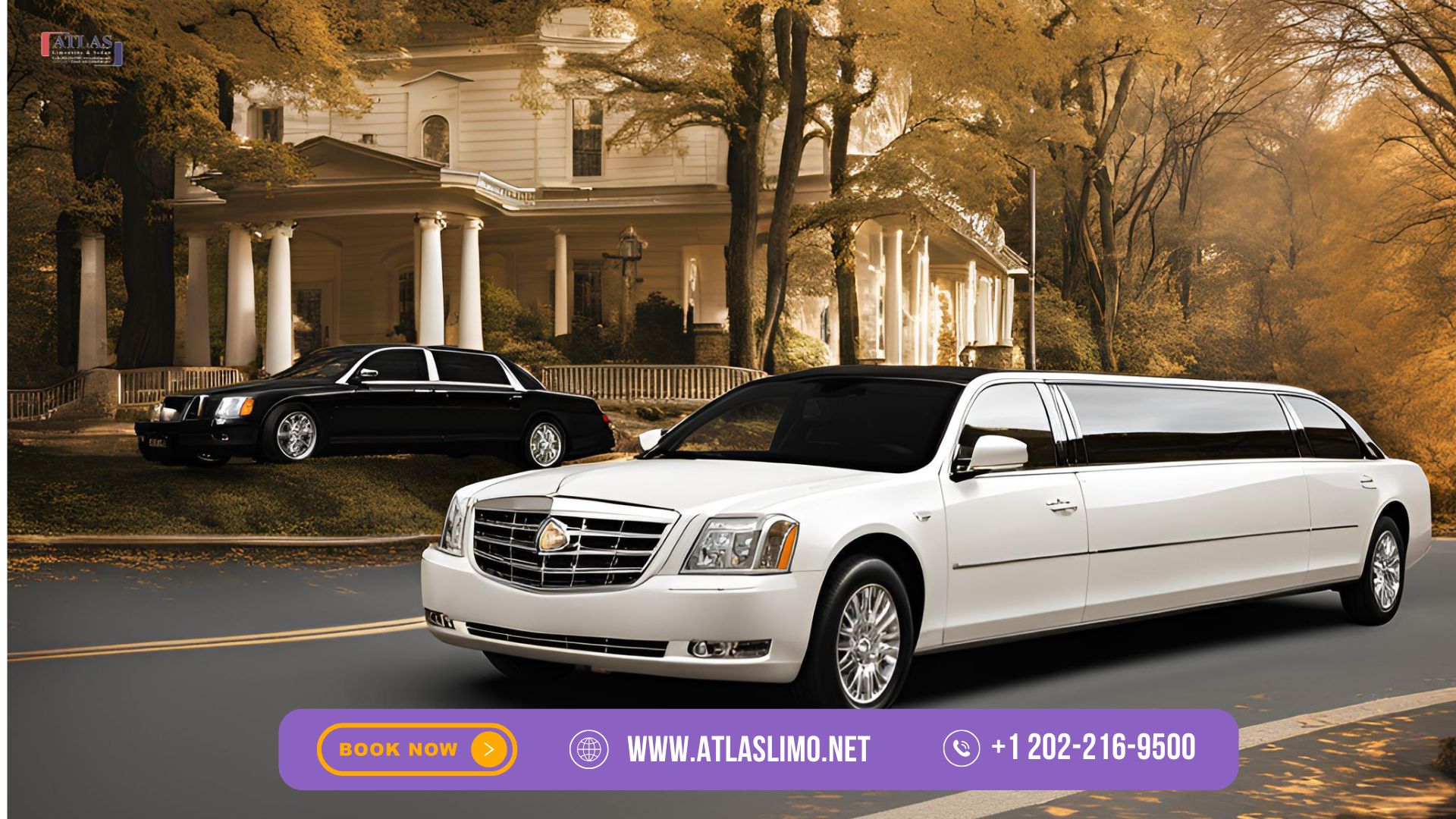 best limousine service in Falls Church VA