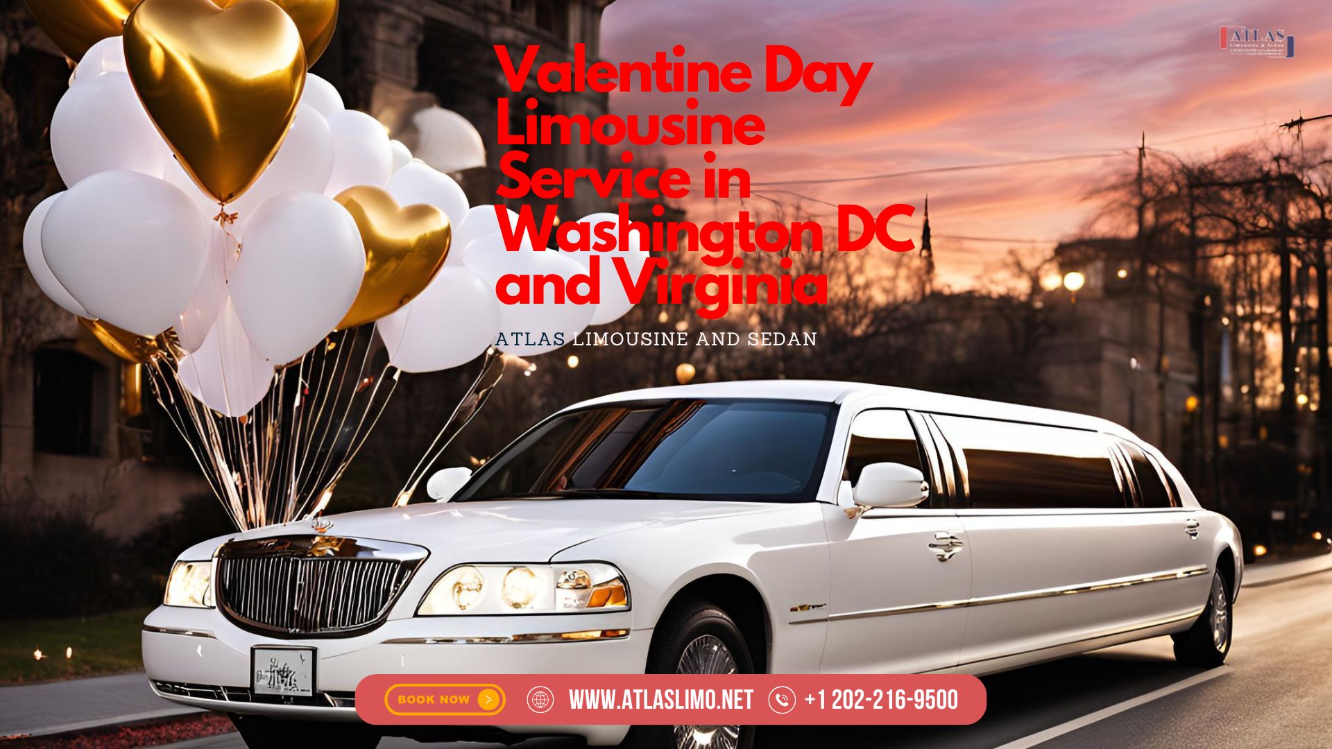 valentine day limousine service in washington dc-va