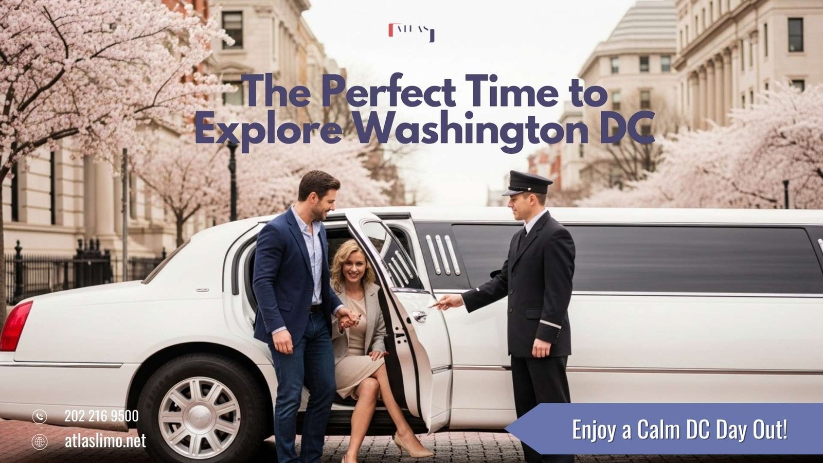 Luxury chauffeur opening the door of a black sedan in Washington, DC, promoting a calm post-holiday limo ride with Atlas Limo.
