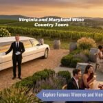 Atlas Limousine and Sedan luxury wine country tour featuring a white stretch limousine at a scenic vineyard in Virginia and Maryland with professional chauffeur service