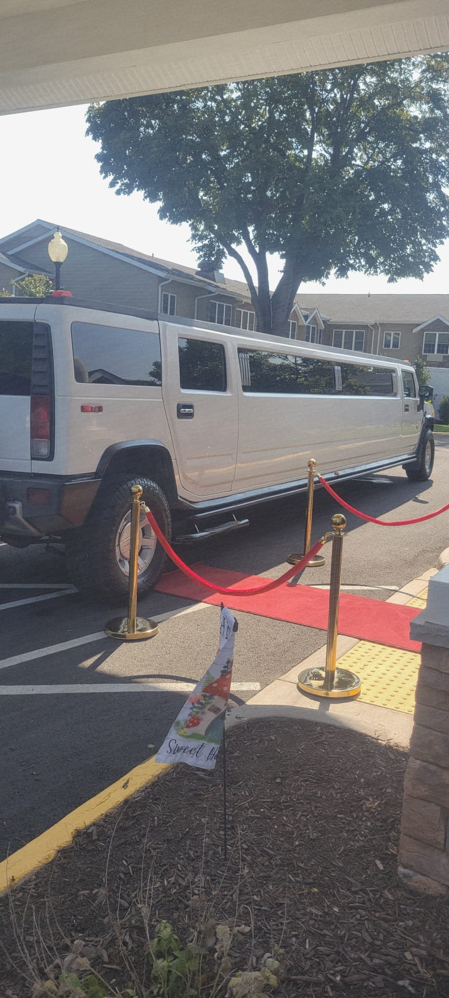 White Hummer Stretch Limousine with red carpet setup for a birthday celebration