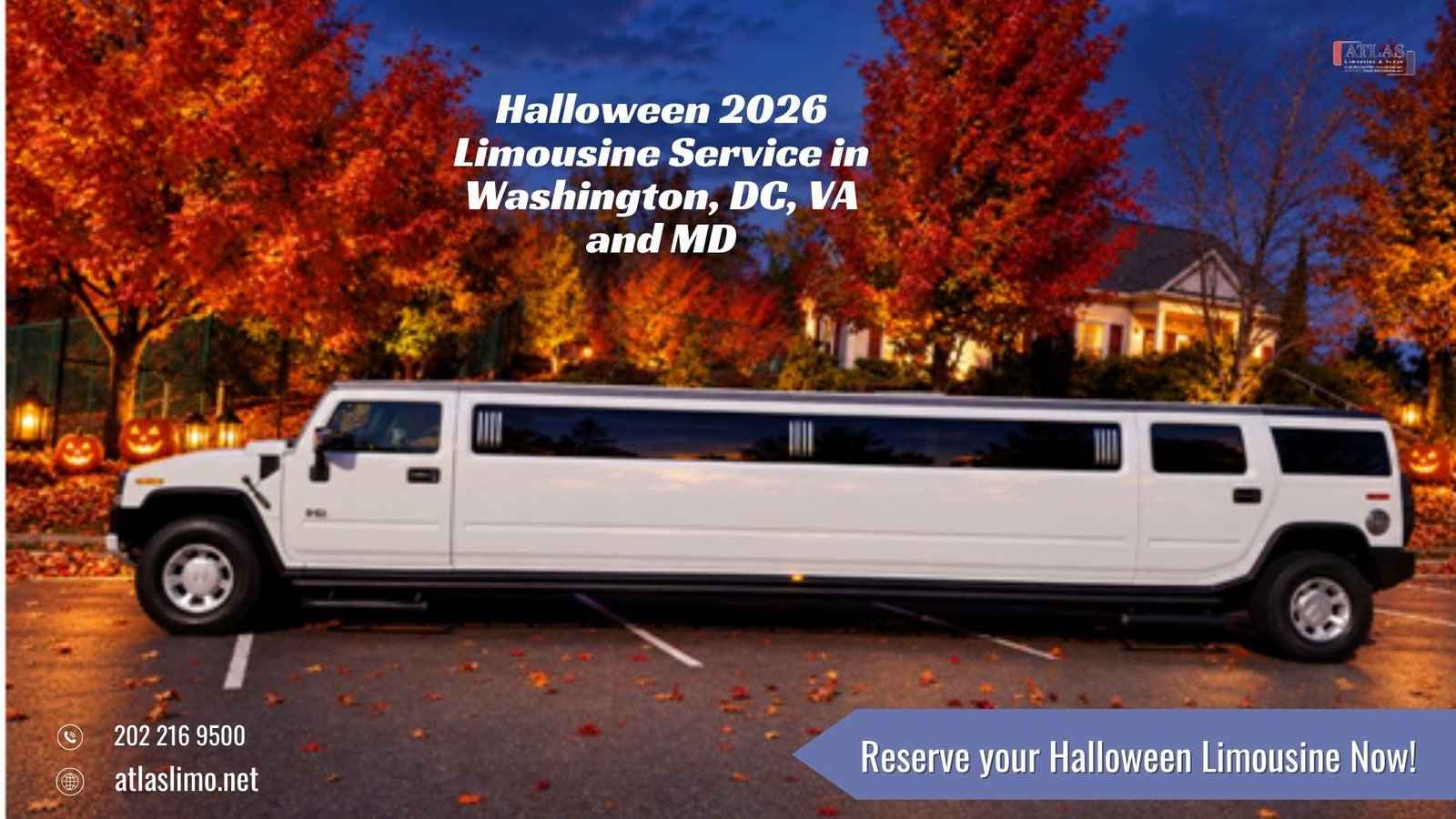 White stretch limousine decorated for Halloween transportation service